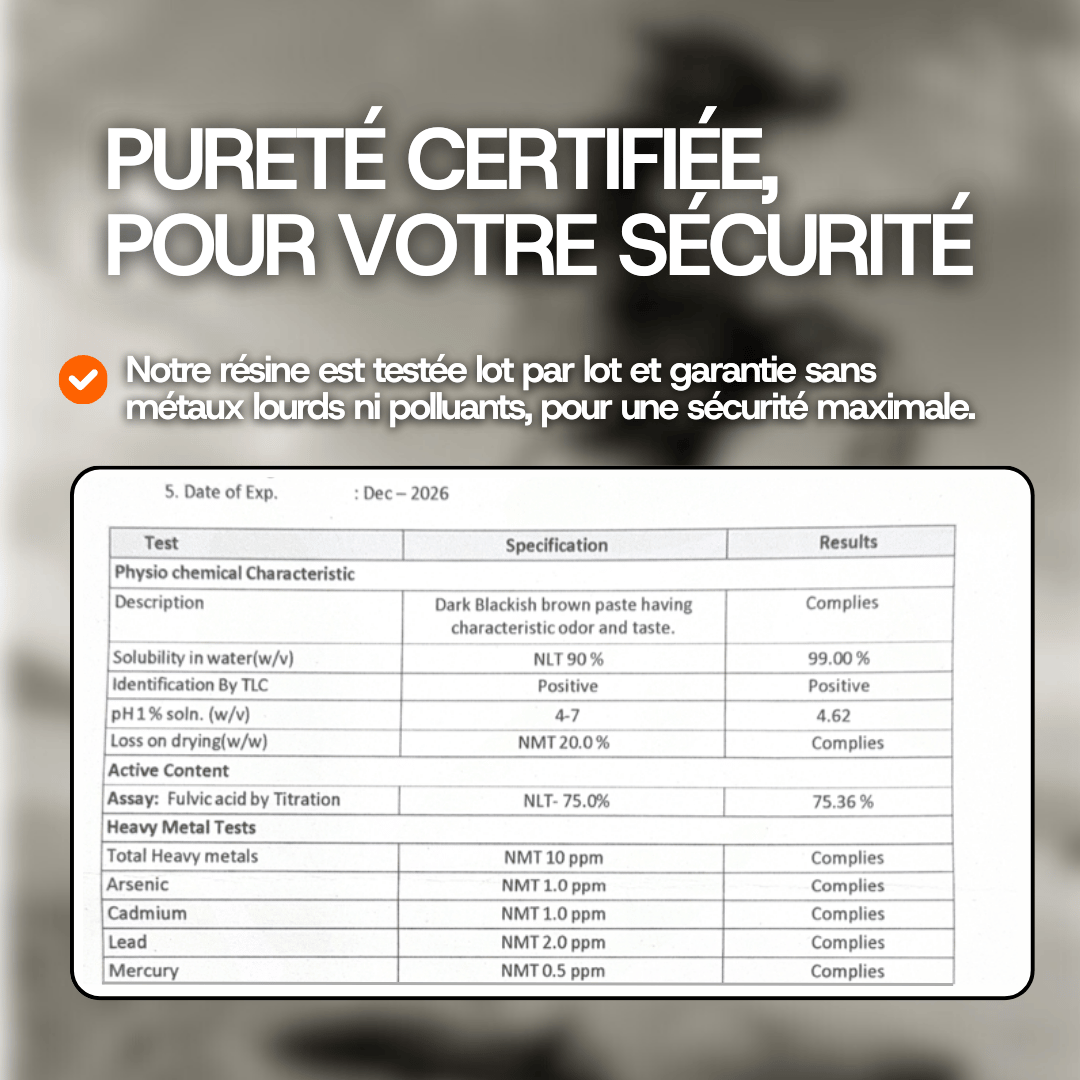 Résine de Shilajit Pure