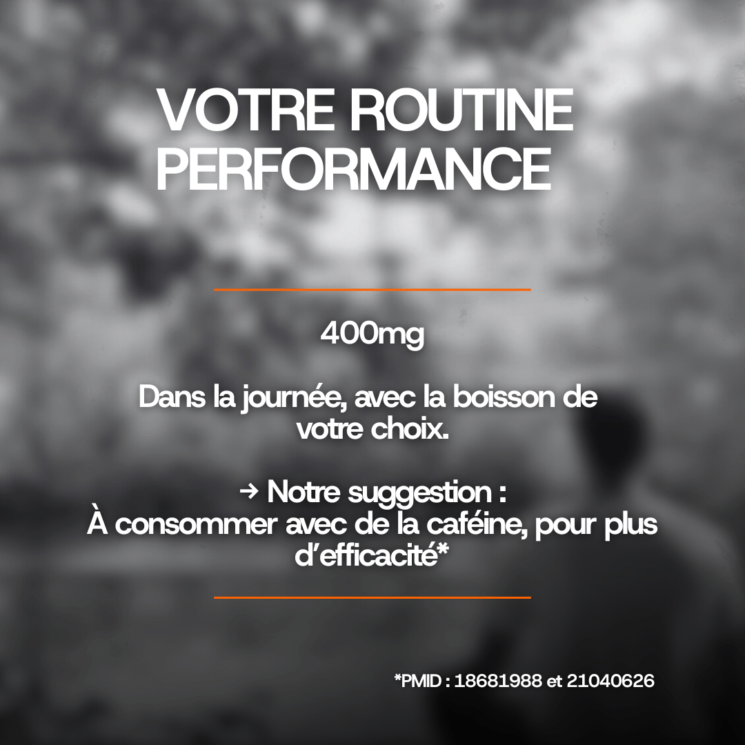 L-Théanine en poudre