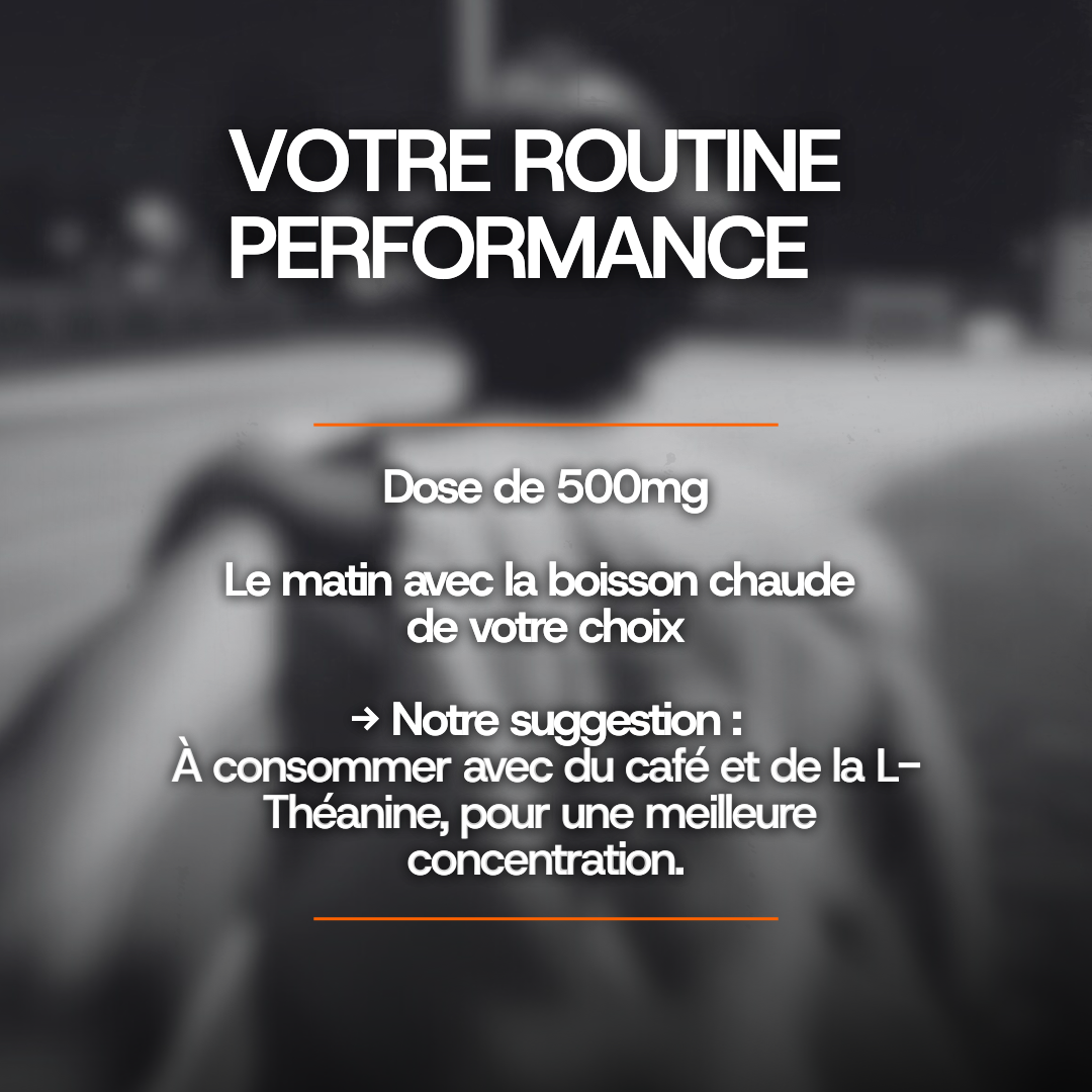 Résine de Shilajit Pure